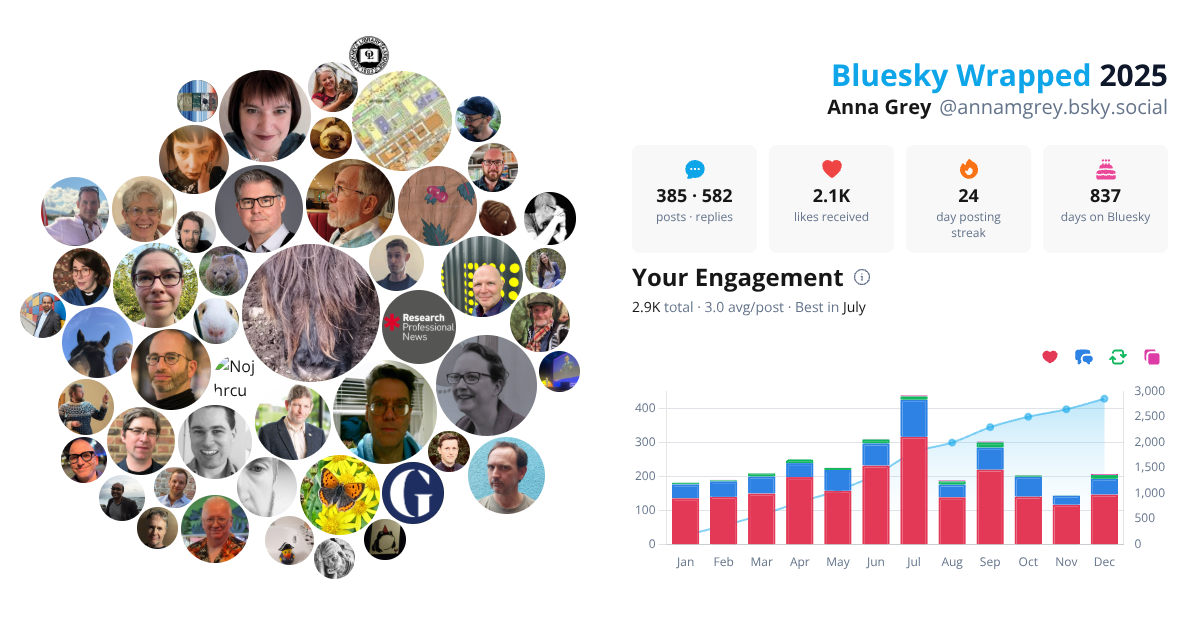 Your Bluesky Wrapped 2025 preview