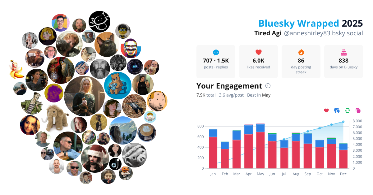 Your Bluesky Wrapped 2025 preview
