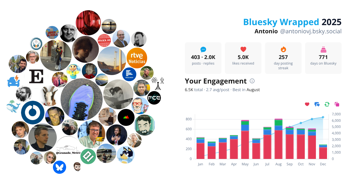 Your Bluesky Wrapped 2025 preview