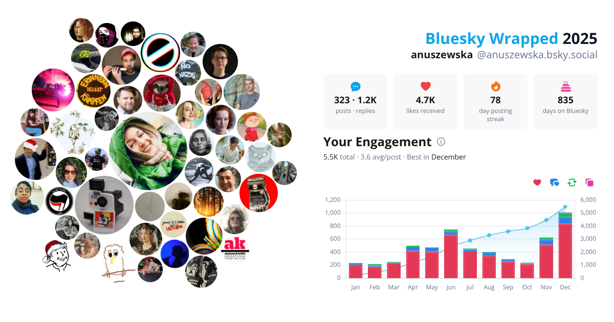 Your Bluesky Wrapped 2025 preview