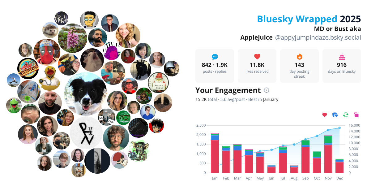 Your Bluesky Wrapped 2025 preview