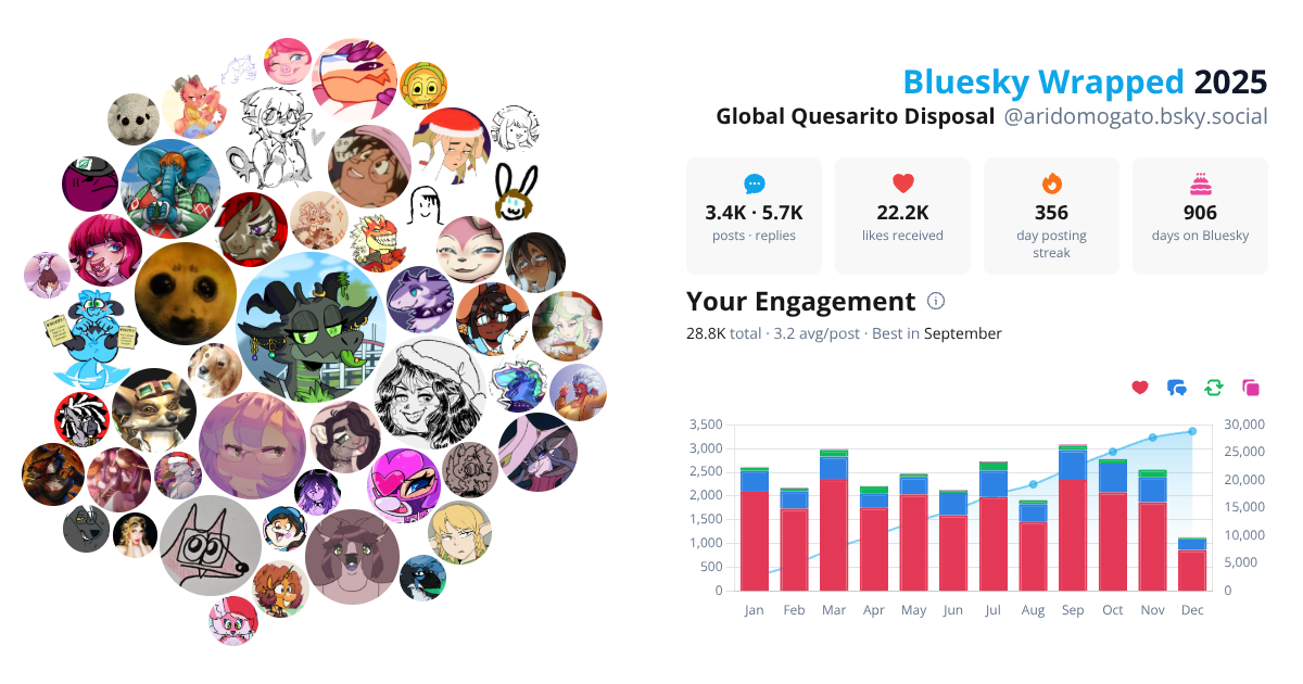 Your Bluesky Wrapped 2025 preview