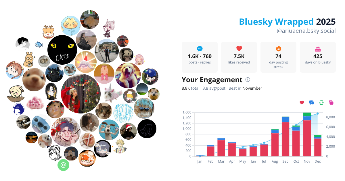 Your Bluesky Wrapped 2025 preview