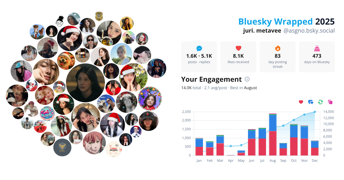 Your Bluesky Wrapped 2025 preview