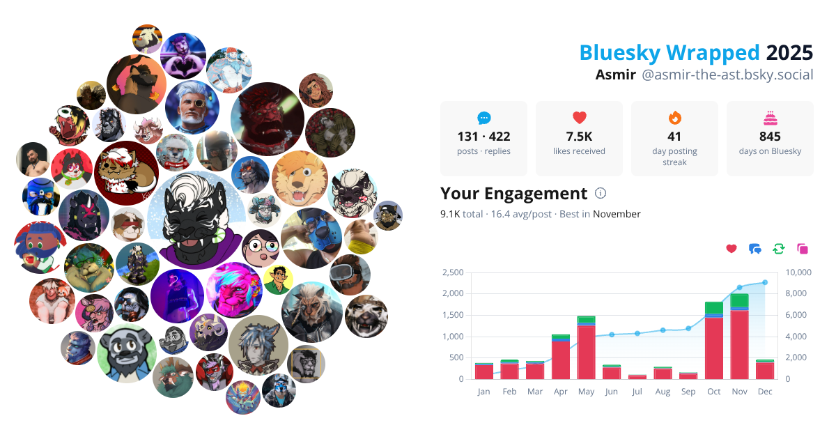 Your Bluesky Wrapped 2025 preview