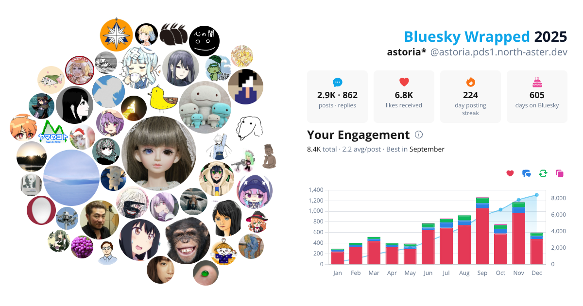 Your Bluesky Wrapped 2025 preview