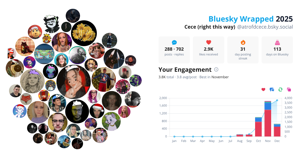 Your Bluesky Wrapped 2025 preview