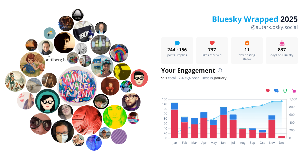 Your Bluesky Wrapped 2025 preview