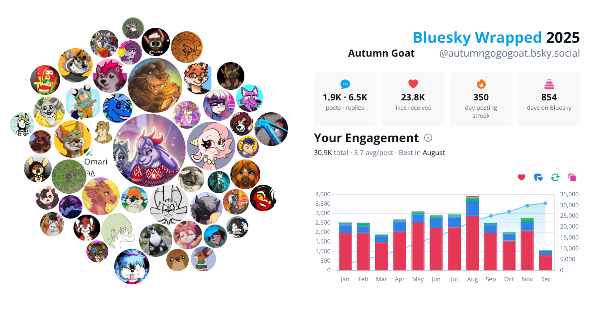 Your Bluesky Wrapped 2025 preview