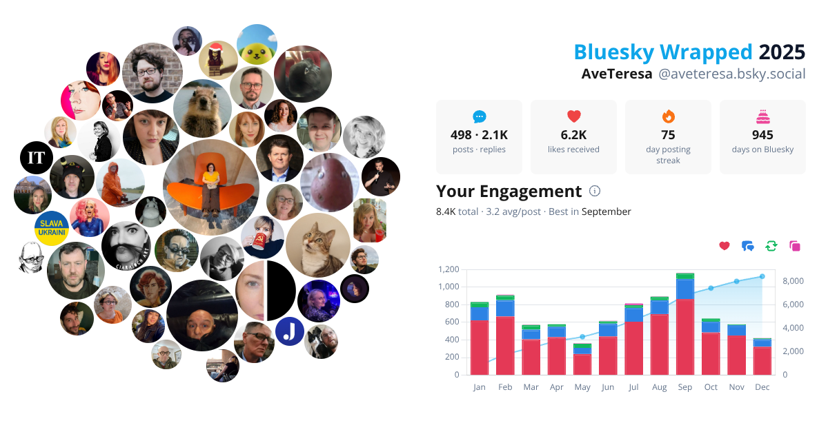 Your Bluesky Wrapped 2025 preview