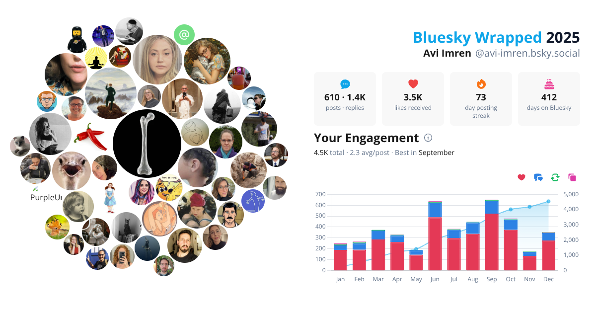Your Bluesky Wrapped 2025 preview