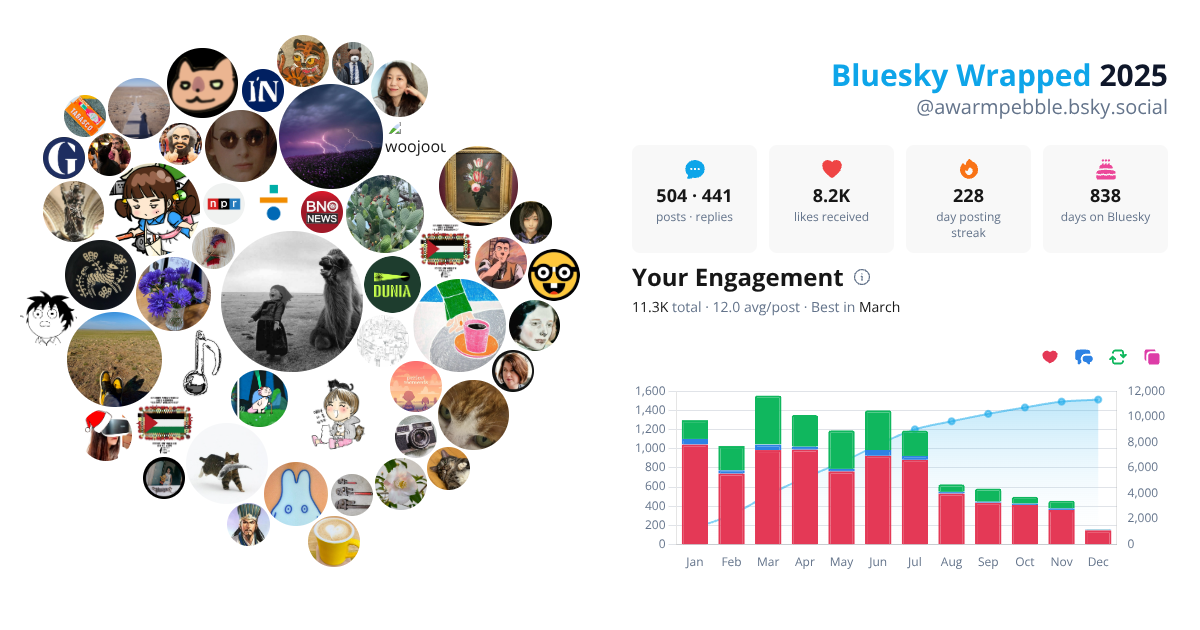 Your Bluesky Wrapped 2025 preview