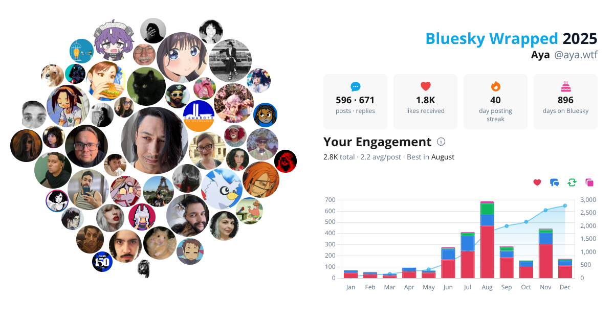 Your Bluesky Wrapped 2025 preview