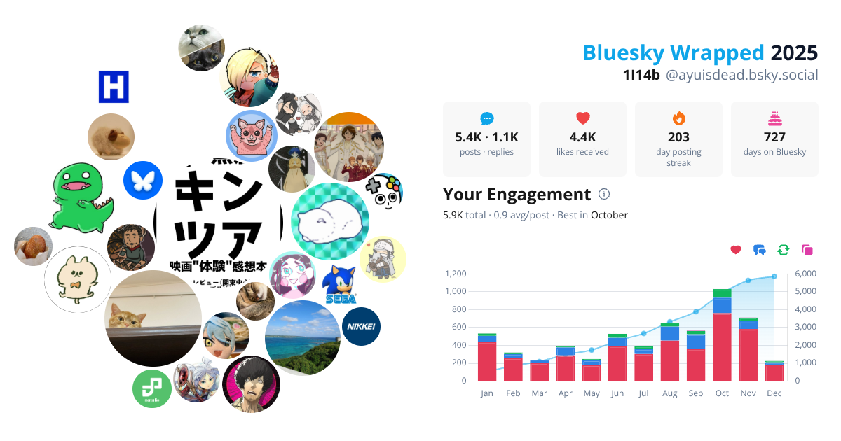 Your Bluesky Wrapped 2025 preview