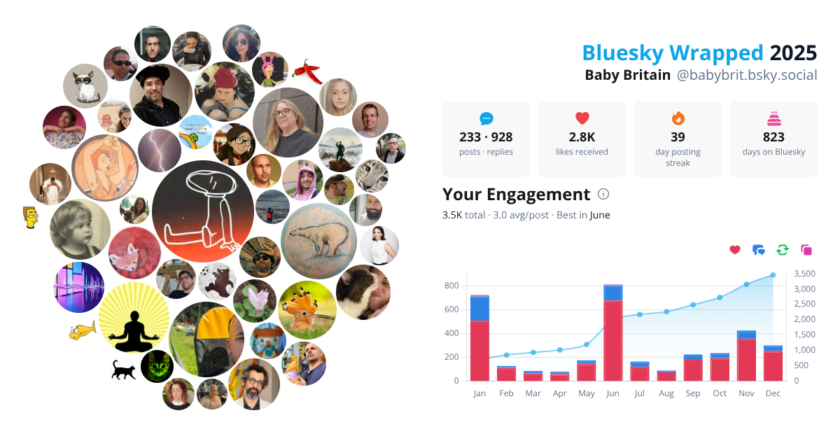 Your Bluesky Wrapped 2025 preview