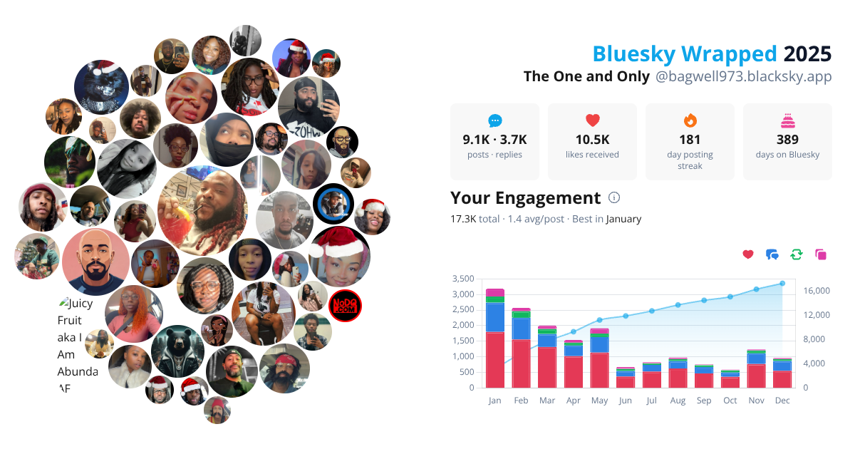 Your Bluesky Wrapped 2025 preview