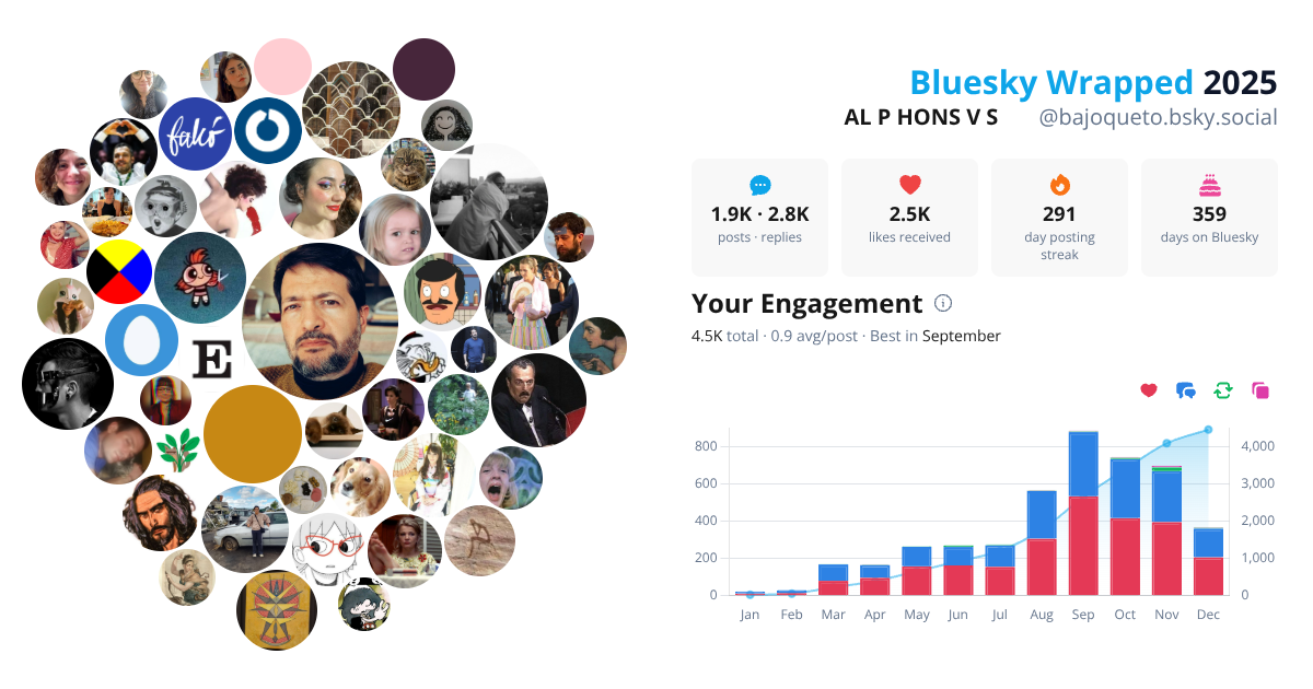 Your Bluesky Wrapped 2025 preview