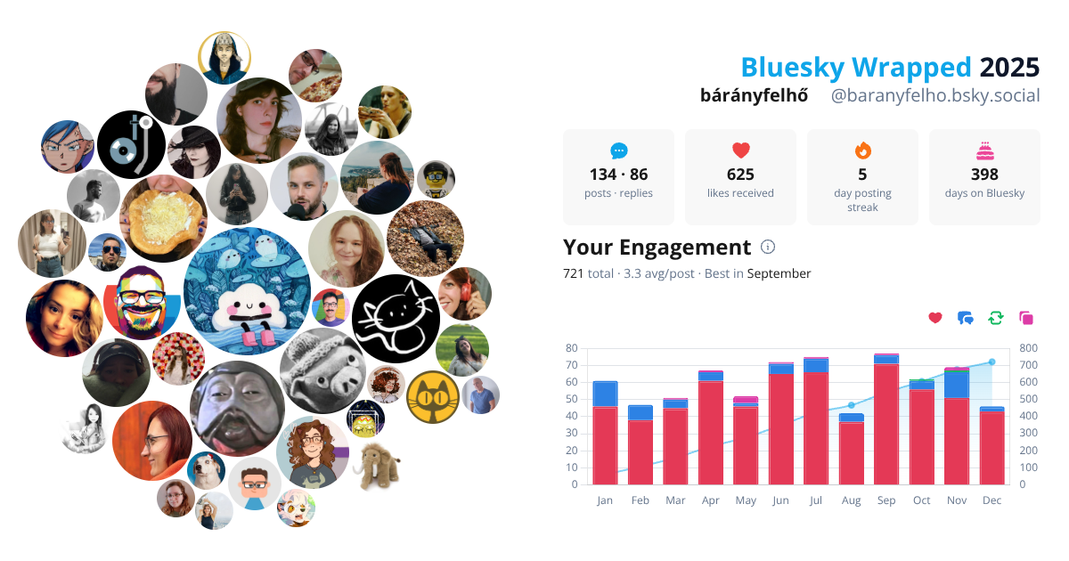 Your Bluesky Wrapped 2025 preview