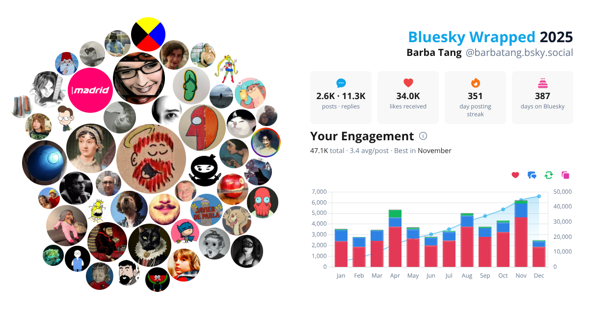 Your Bluesky Wrapped 2025 preview