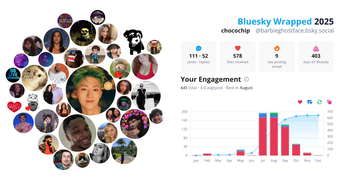 Your Bluesky Wrapped 2025 preview