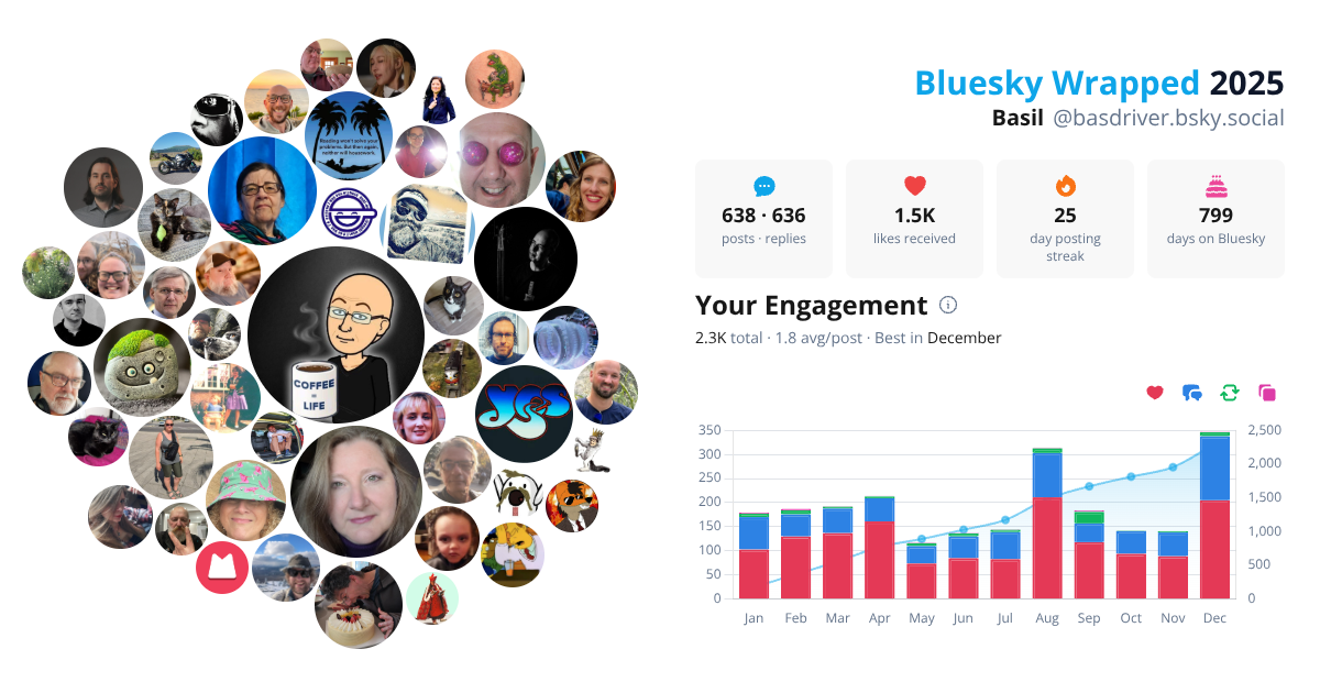 Your Bluesky Wrapped 2025 preview