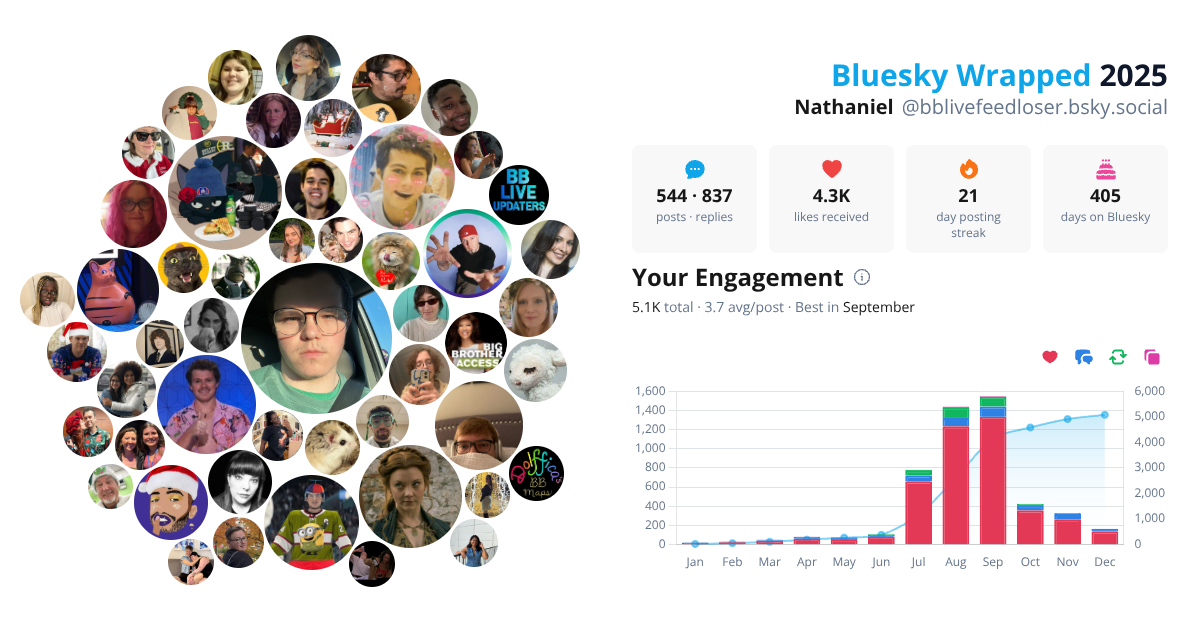 Your Bluesky Wrapped 2025 preview