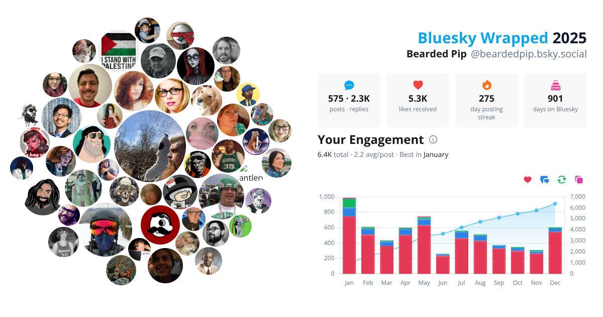 Your Bluesky Wrapped 2025 preview
