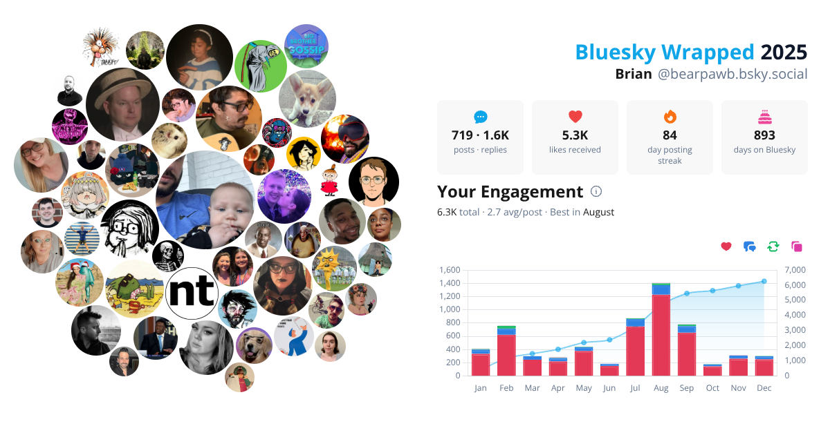 Your Bluesky Wrapped 2025 preview