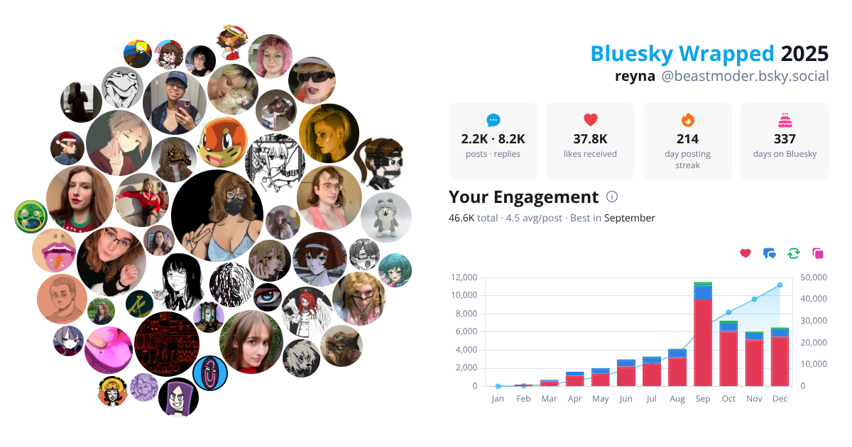Your Bluesky Wrapped 2025 preview