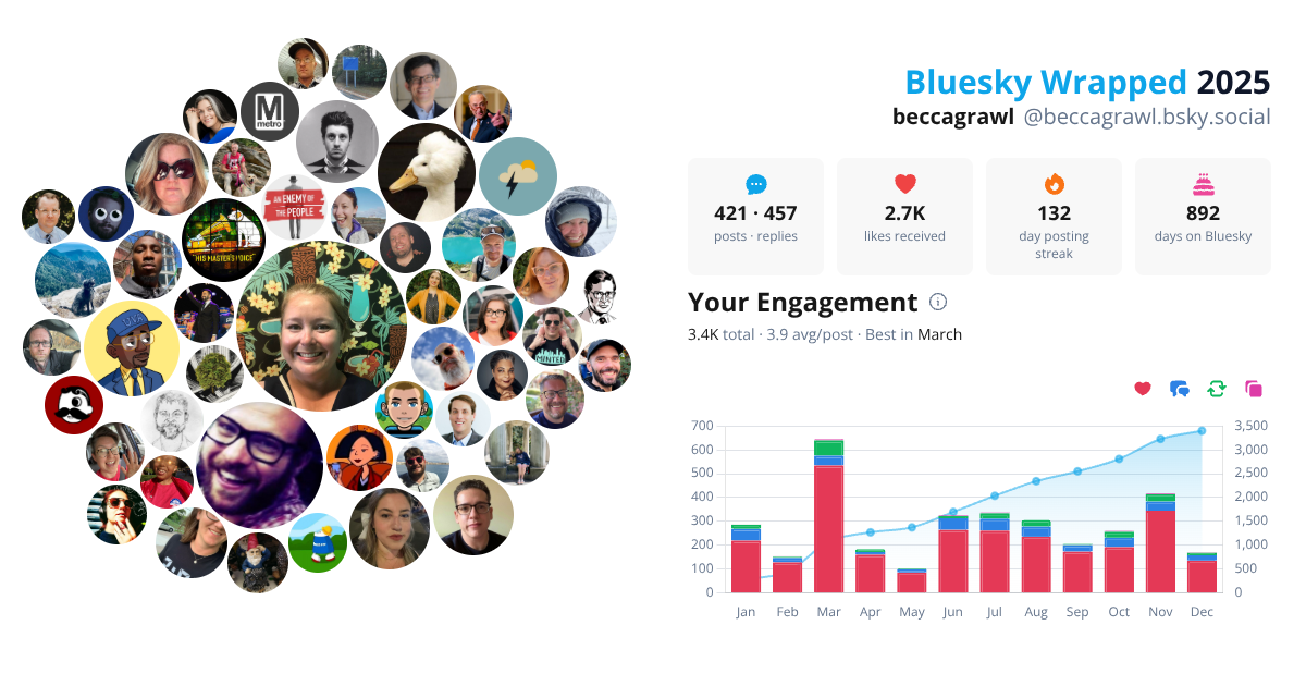 Your Bluesky Wrapped 2025 preview