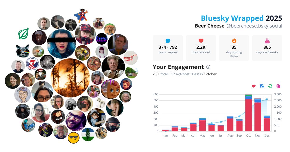 Your Bluesky Wrapped 2025 preview