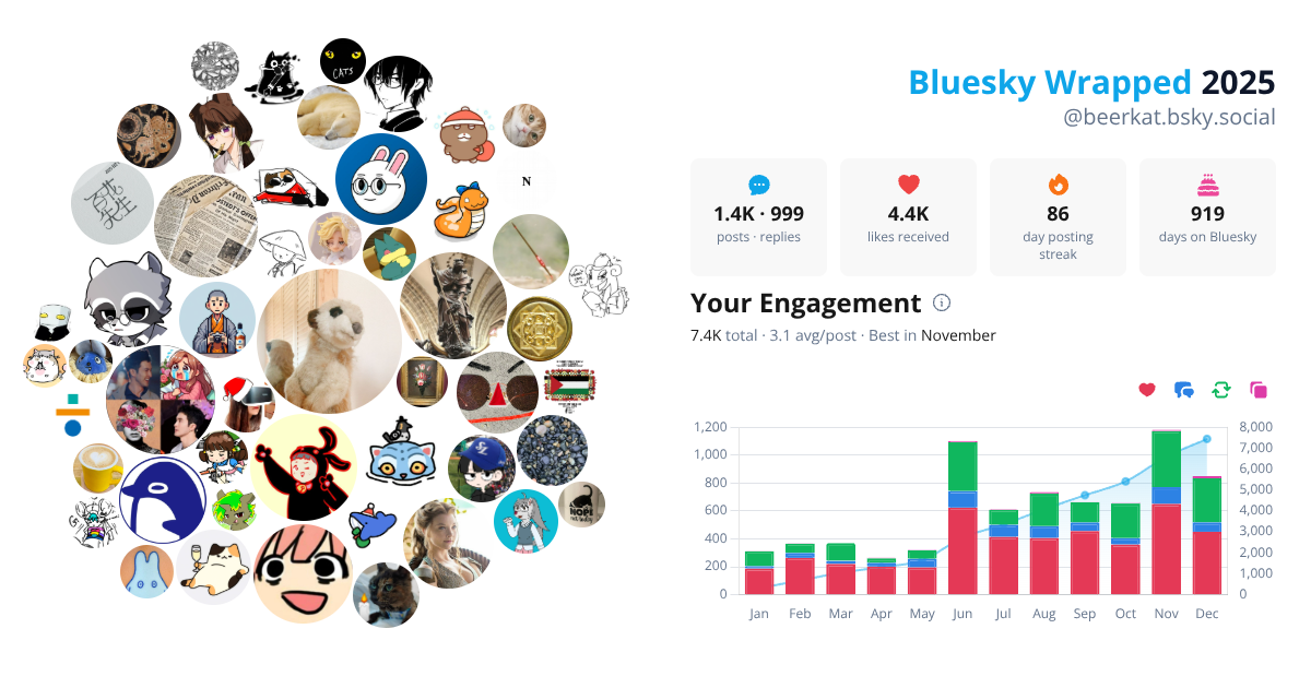 Your Bluesky Wrapped 2025 preview