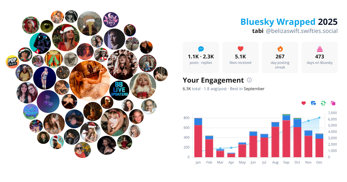 Your Bluesky Wrapped 2025 preview