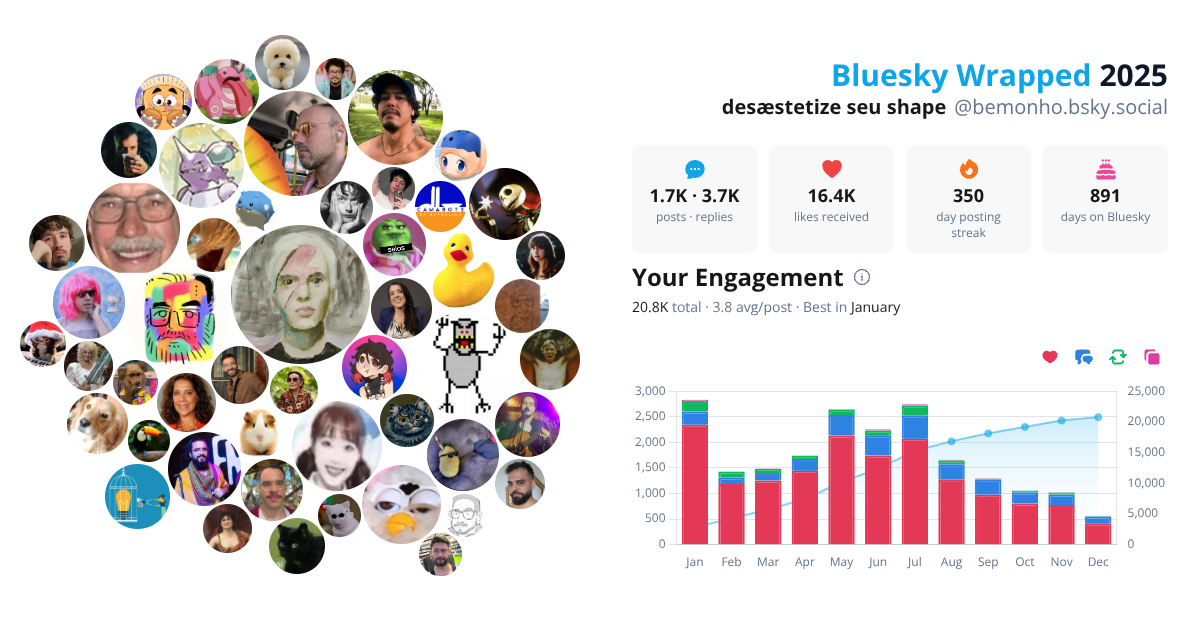 Your Bluesky Wrapped 2025 preview