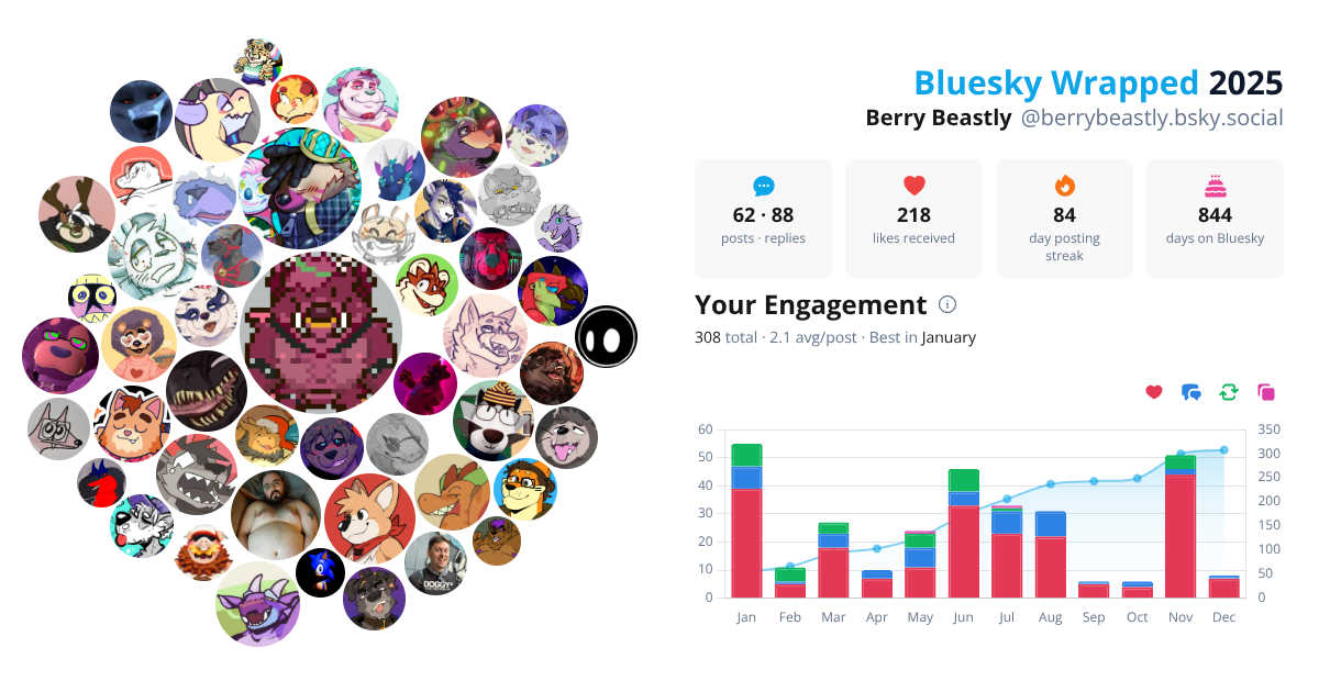Your Bluesky Wrapped 2025 preview