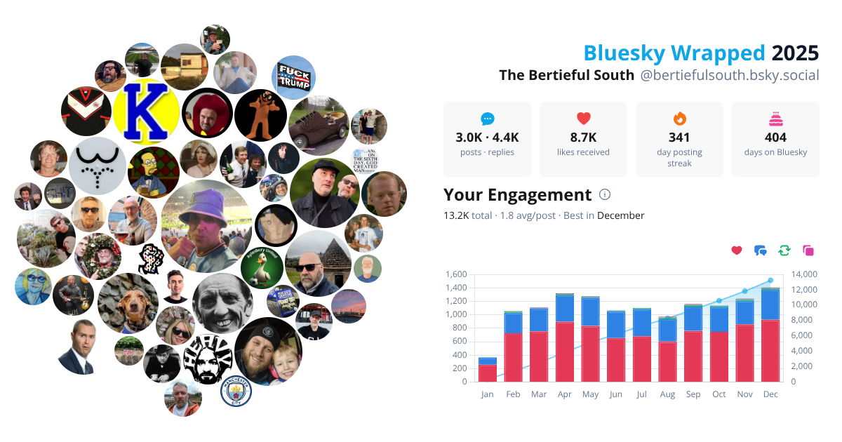 Your Bluesky Wrapped 2025 preview
