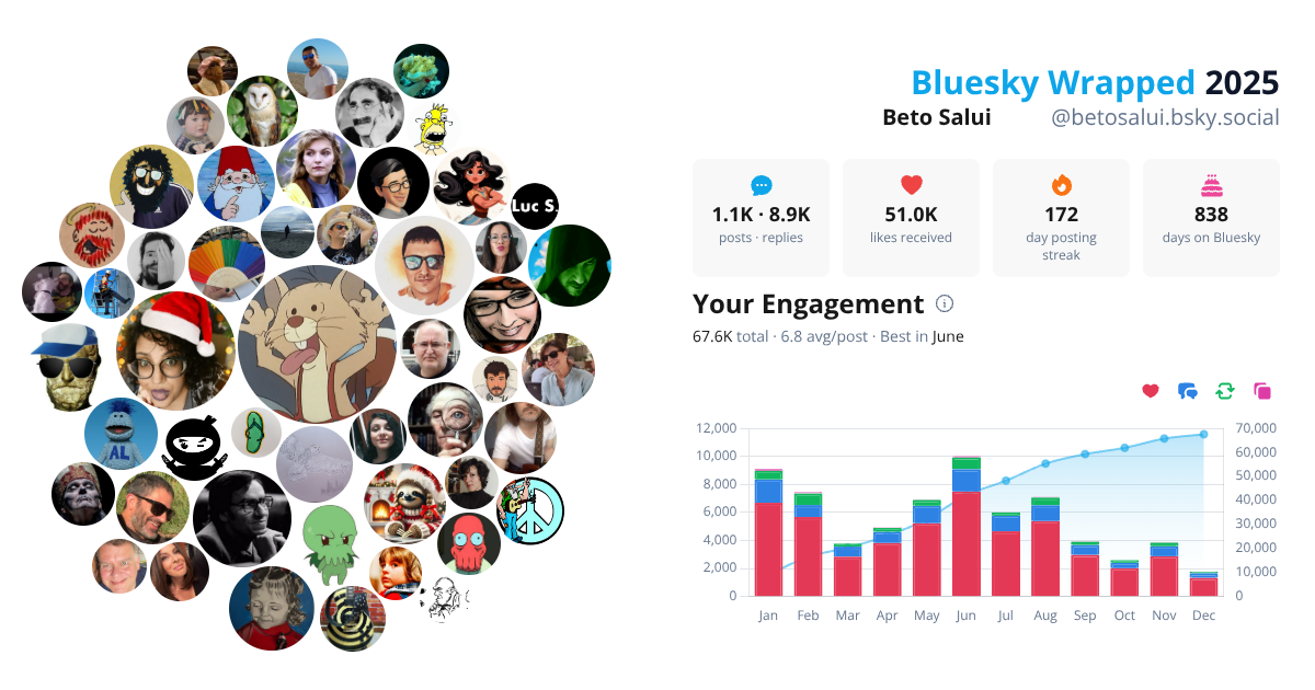 Your Bluesky Wrapped 2025 preview