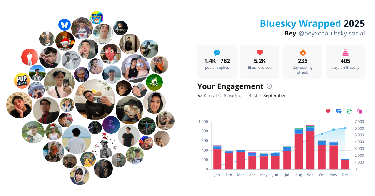 Your Bluesky Wrapped 2025 preview