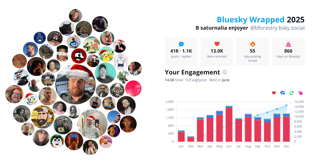 Your Bluesky Wrapped 2025 preview