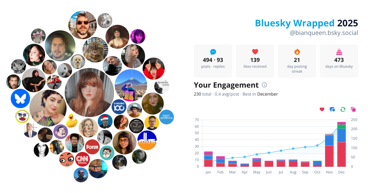 Your Bluesky Wrapped 2025 preview