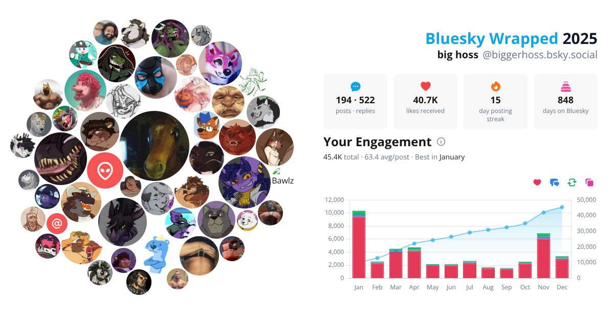 Your Bluesky Wrapped 2025 preview