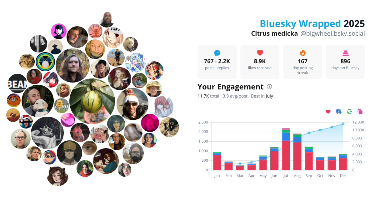 Your Bluesky Wrapped 2025 preview