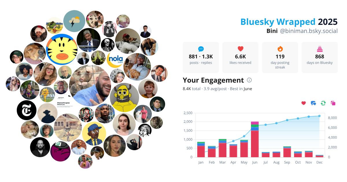Your Bluesky Wrapped 2025 preview