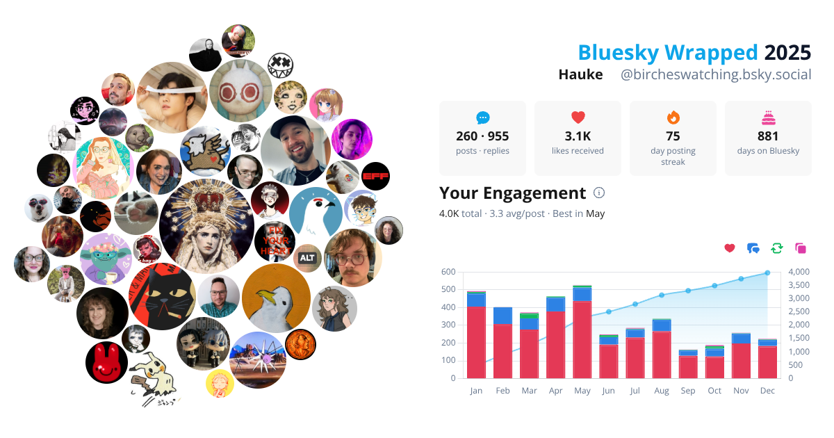 Your Bluesky Wrapped 2025 preview