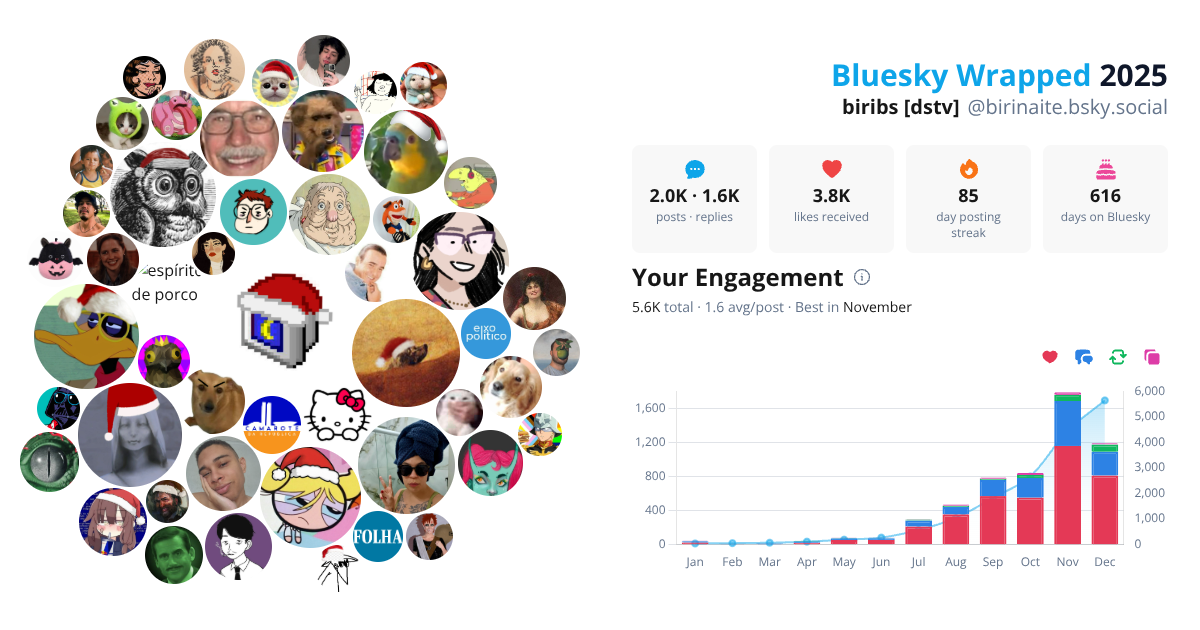 Your Bluesky Wrapped 2025 preview