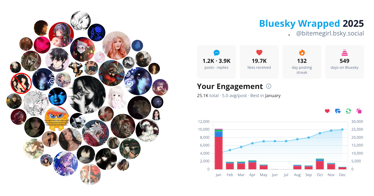Your Bluesky Wrapped 2025 preview