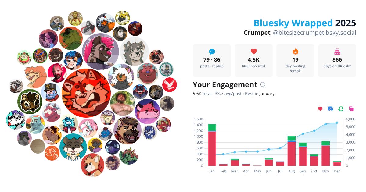 Your Bluesky Wrapped 2025 preview