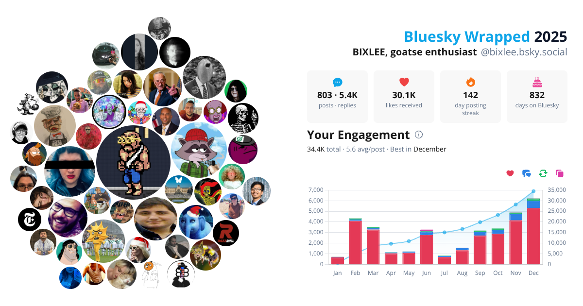 Your Bluesky Wrapped 2025 preview