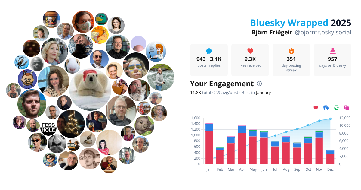 Your Bluesky Wrapped 2025 preview