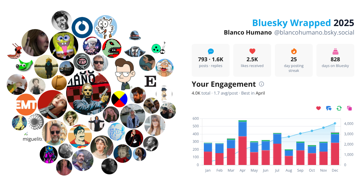 Your Bluesky Wrapped 2025 preview